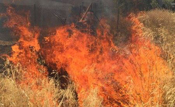 Διάφορες εστίες φωτιάς στις Αχαρνές λόγω κεραυνών