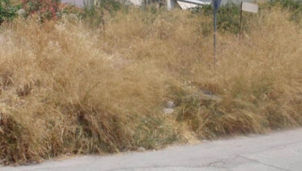 Τον καθαρισμό των οικοπέδων από τους ιδιοκτήτες ζητά ο Δήμος Αχαρνών