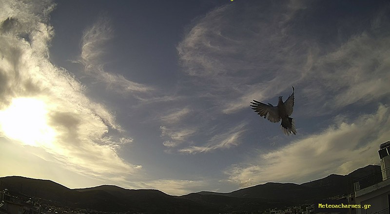 Meteoacharnes: Θα συνεχίσει κάπου στους 32 η μέγιστη θερμοκρασία. Η πρόγνωση για Αχαρνές, Ίλιον & Φυλή