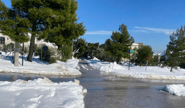 Αποτελεσματική η αντίδραση του δήμου Αχαρνών κατά της “Μήδειας”