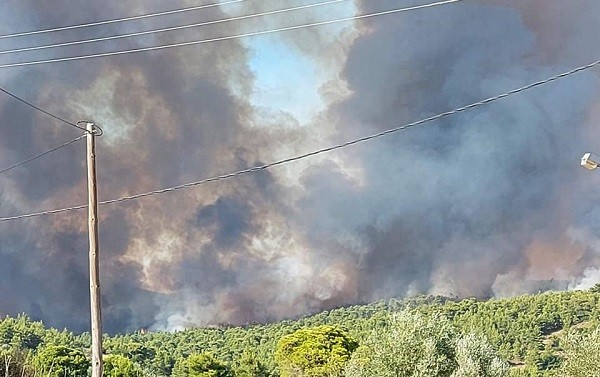 Έρευνα για Βαρυμπόμπη: Ο καύσωνας και η φωτιά αύξησαν έως και 80% τη θνησιμότητα στην Αθήνα