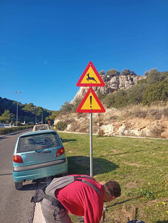 Πινακίδες με ειδική σήμανση για την προστασία ελαφιών και οδηγών στη λεωφόρο Φυλής