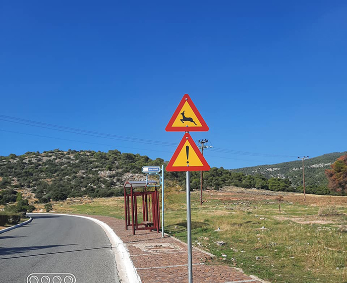 Πινακίδες με ειδική σήμανση για την προστασία ελαφιών και οδηγών στη λεωφόρο Φυλής