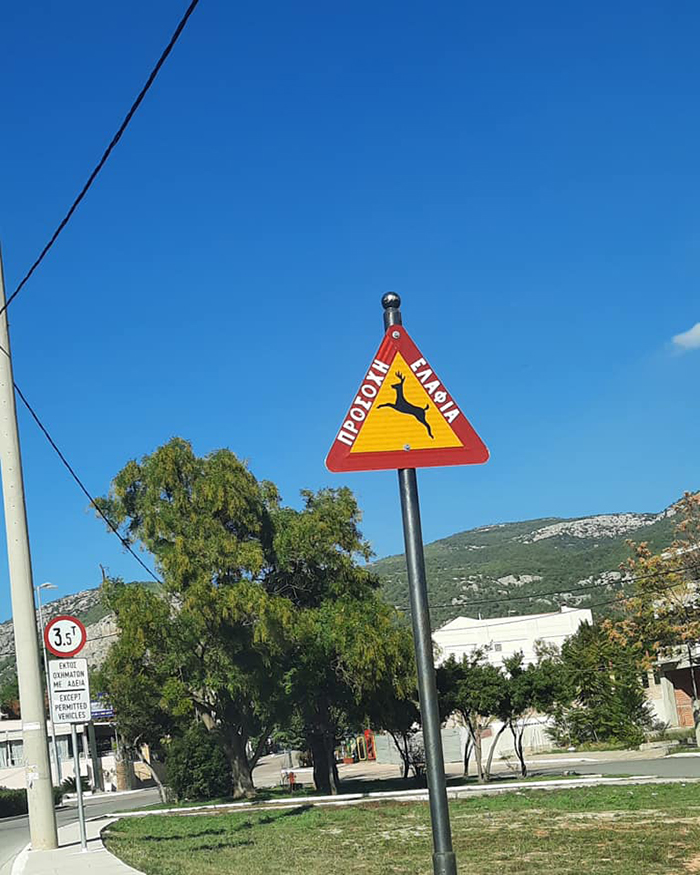 Πινακίδες με ειδική σήμανση για την προστασία ελαφιών και οδηγών στη λεωφόρο Φυλής