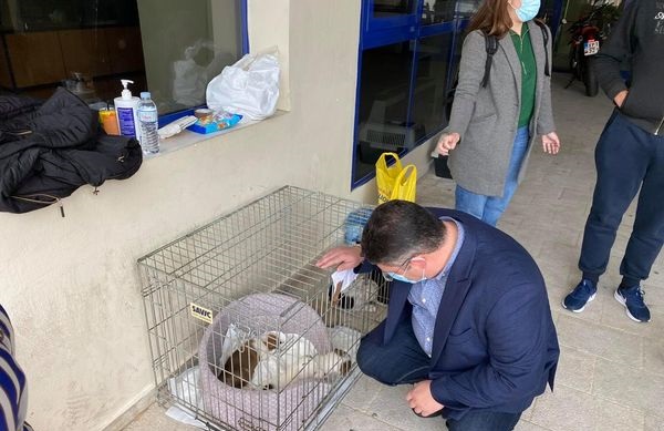 Βραβείο, για 2η φορά, στον Δήμο Αχαρνών από την Πανελλαδική Φιλοζωική Περιβαλλοντική Ομοσπονδία