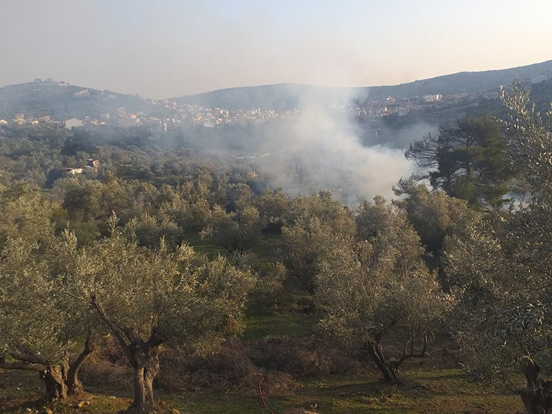 Φωτιά στο ρέμα Γιαννούλας στη Φυλή. Κατασβέστηκε έγκαιρα από Πυροσβεστική και Δήμο