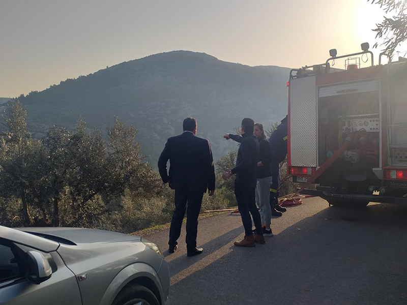 Φωτιά στο ρέμα Γιαννούλας στη Φυλή. Κατασβέστηκε έγκαιρα από Πυροσβεστική και Δήμο