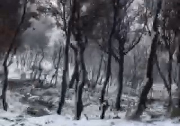 Στις επάλξεις η Πολιτική Προστασία του δήμου Αχαρνών στα σημεία όπου χιονίζει