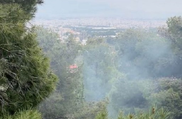 Υπό μερικό έλεγχο η φωτιά σε δασική έκταση στον Δ. Αχαρνών