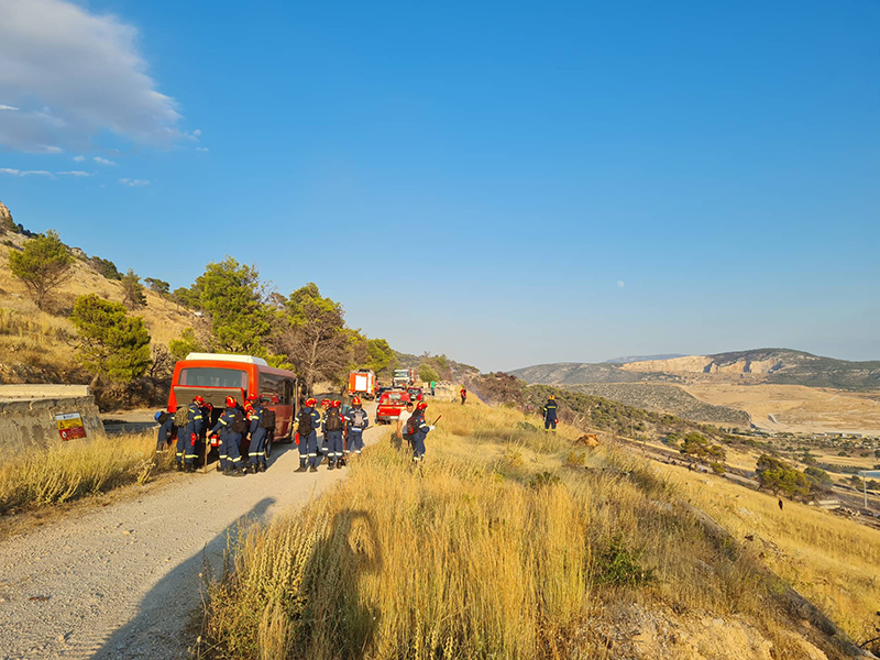 Πυρκαγιά κοντά στον Θρασύβουλο Φυλής. Μεγάλη κινητοποίηση από Πυροσβεστική και Δήμο