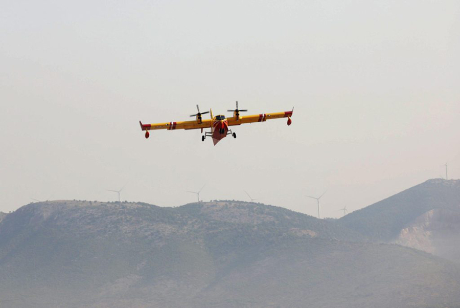 Φωτιά στη Ζωφριά: Μεγάλη δύναμη της Πυροσβεστικής και του Δήμου Φυλής