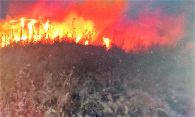 Φωτιά σε ξερά χόρτα στις Αχαρνές. Επιτόπου η Πολιτική Προστασία του Δήμου και η Πυροσβεστική