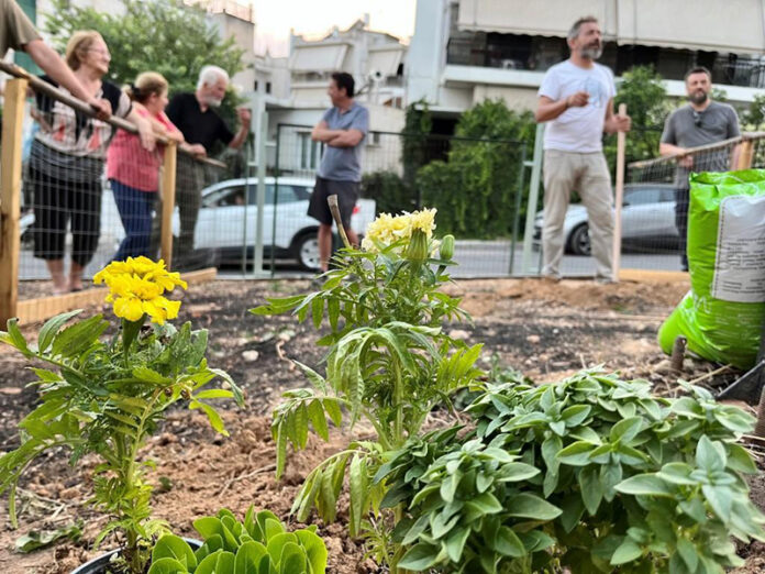 Κοινωνικός Βιολογικός Λαχανόκηπος Δήμου Πετρούπολης: Ολοκληρώθηκε το πρώτο εργαστήριο αστικής καλλιέργειας