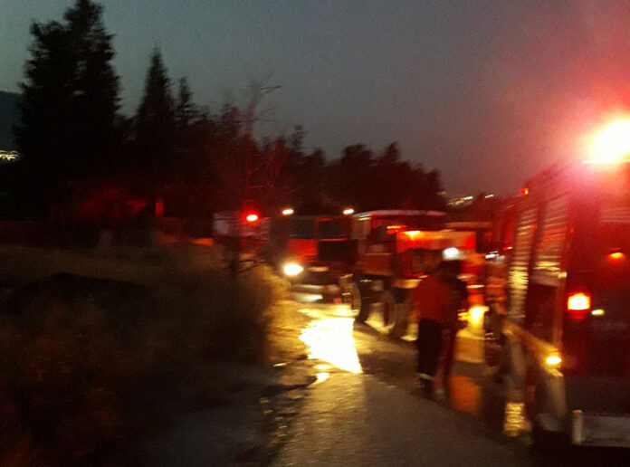 Πυρκαγιά στη Ζωφριά. Έσβησε από Πυροσβεστική και υδροφόρες του Δήμου Φυλής