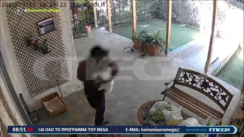 Αχαρνές: Απίστευτο περιστατικό στον Προφήτη Ηλία – Άγνωστος άρπαξε σκύλο μαλτέζ από αυλή σπιτιού