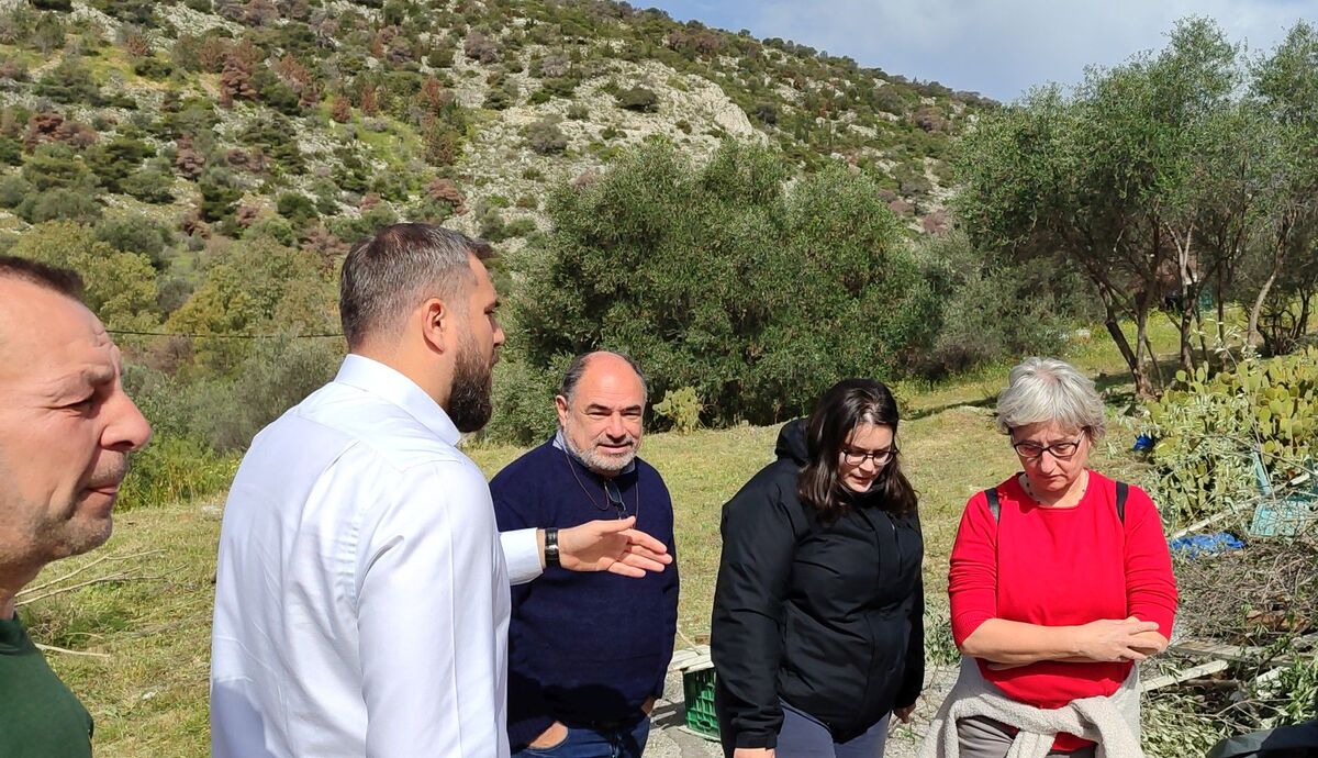 Πετρούπολη: Για πρώτη φορά δημιουργείται αντιπυρική ζώνη στο Ποικίλο όρος