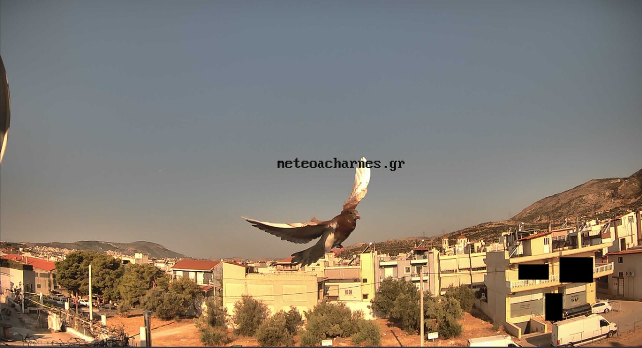 Meteoacharnes: Παραμένει το μελτέμι. Με διακυμάνσεις η θερμοκρασία. Η πρόγνωση για Αχαρνές, Ίλιον & Φυλή