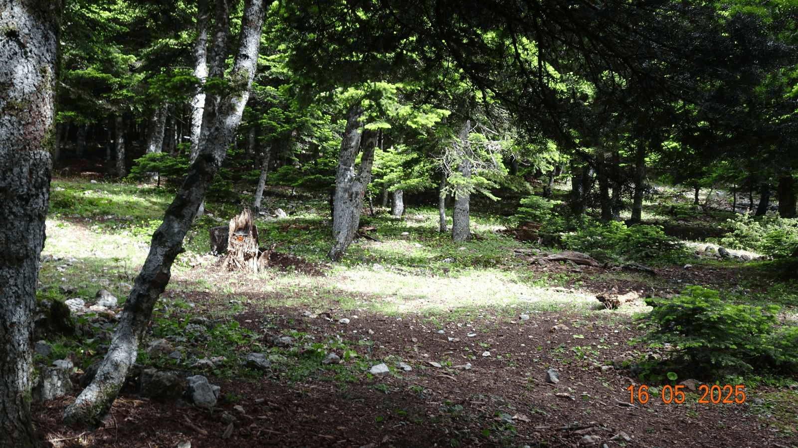 Μαθητές του 9ου Γυμνασίου Αχαρνών φωτογράφισαν τοπία στην Πάρνηθα και εκθέτουν τα έργα τους στο «Πέτρινο»