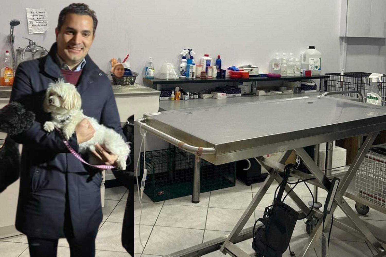 Δημοτικό Κτηνιατρείο Αγίων Αναργύρων – Καματερού: Παράδειγμα προς μίμηση με την «υπογραφή» Σταύρου Τσίρμπα