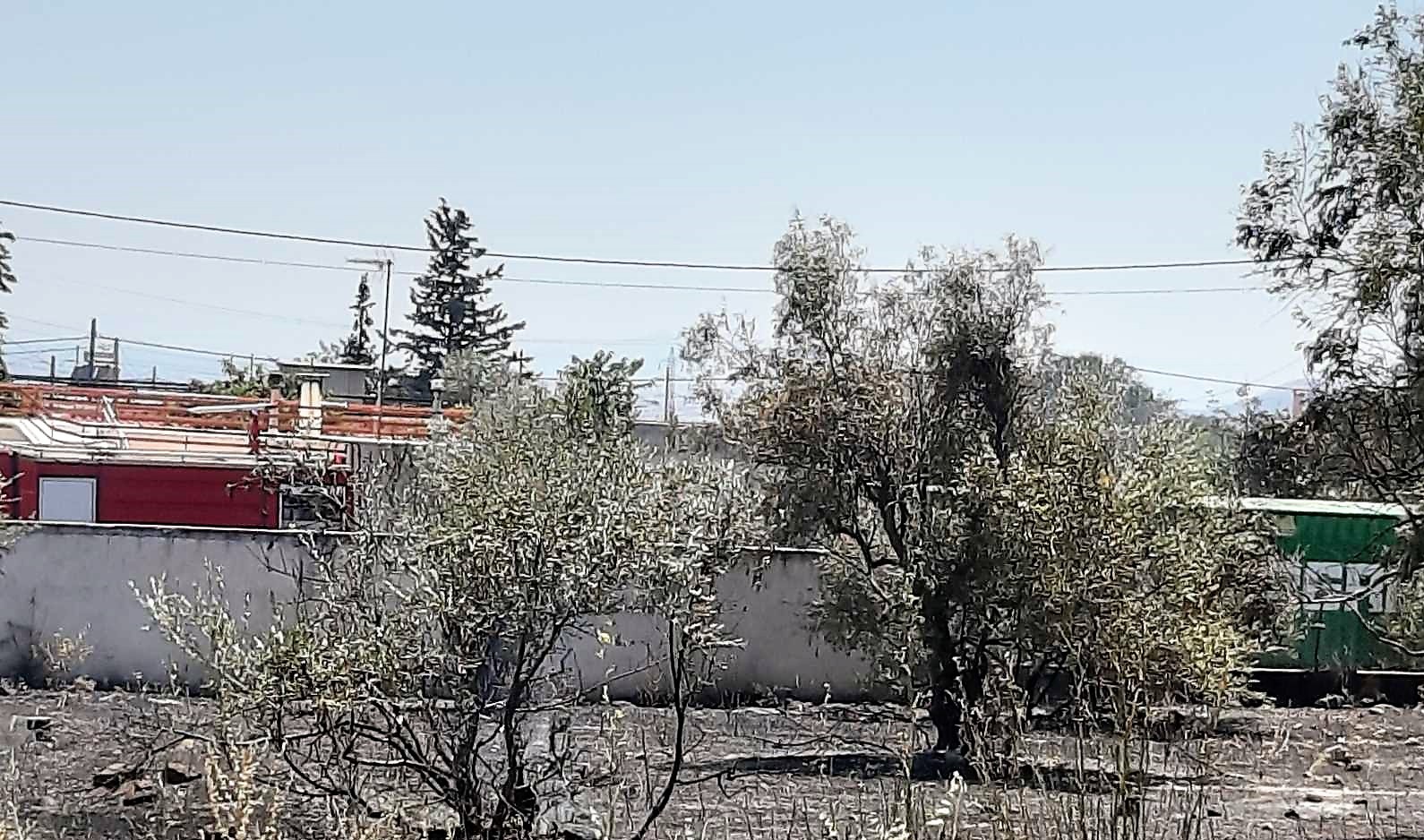 Αχαρνές: Υπό έλεγχο η πυρκαγιά στις οδούς Μόλας και Κλεοπάτρας – Άμεση κινητοποίηση Πυροσβεστικής και Πολιτικής Προστασίας