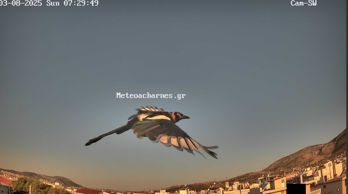 Meteoacharnes: Ήπιες θερμοκρασίες με αστάθειες, αλλά όχι για εμάς. Ενίσχυση του μελτεμιού. Η πρόγνωση για Αχαρνές, Ίλιον & Φυλή