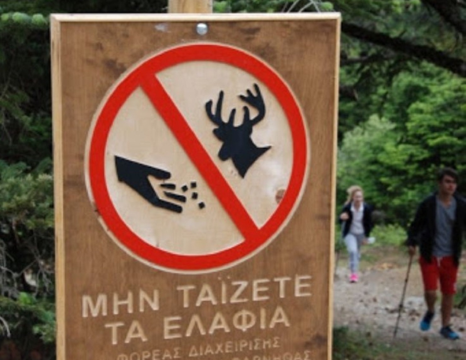 154 νέες ενημερωτικές πινακίδες στον Εθνικό Δρυμό Πάρνηθας για την προστασία και σεβασμό της άγριας ζωής