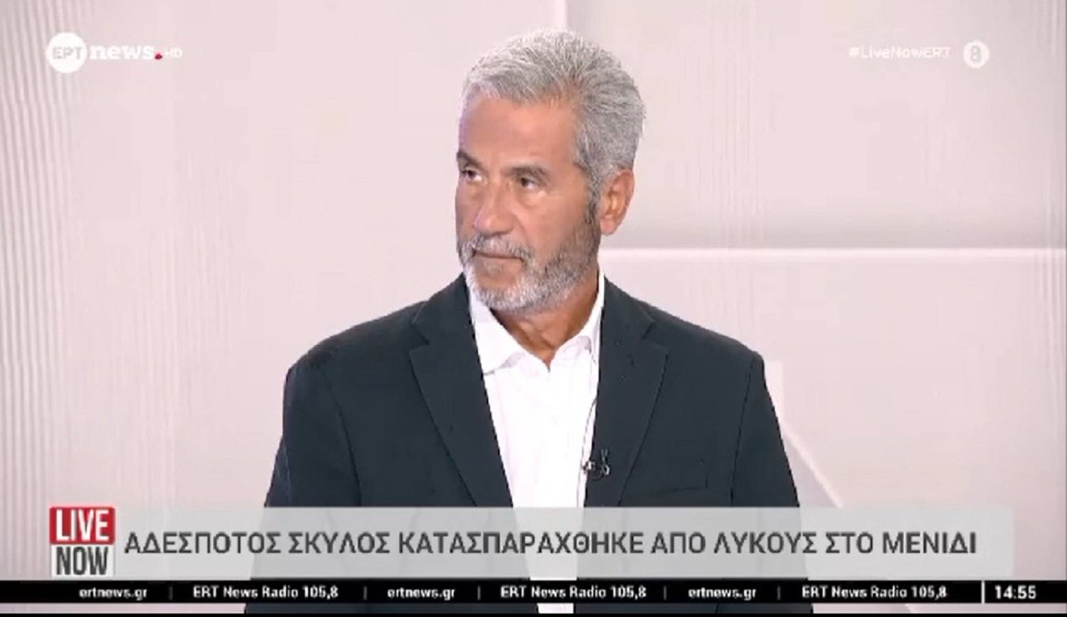 Τι λέει ο πρόεδρος του ΠΕΣΥΔΑΠ για τους τρόπους προστασίας από λύκους και αγριογούρουνα