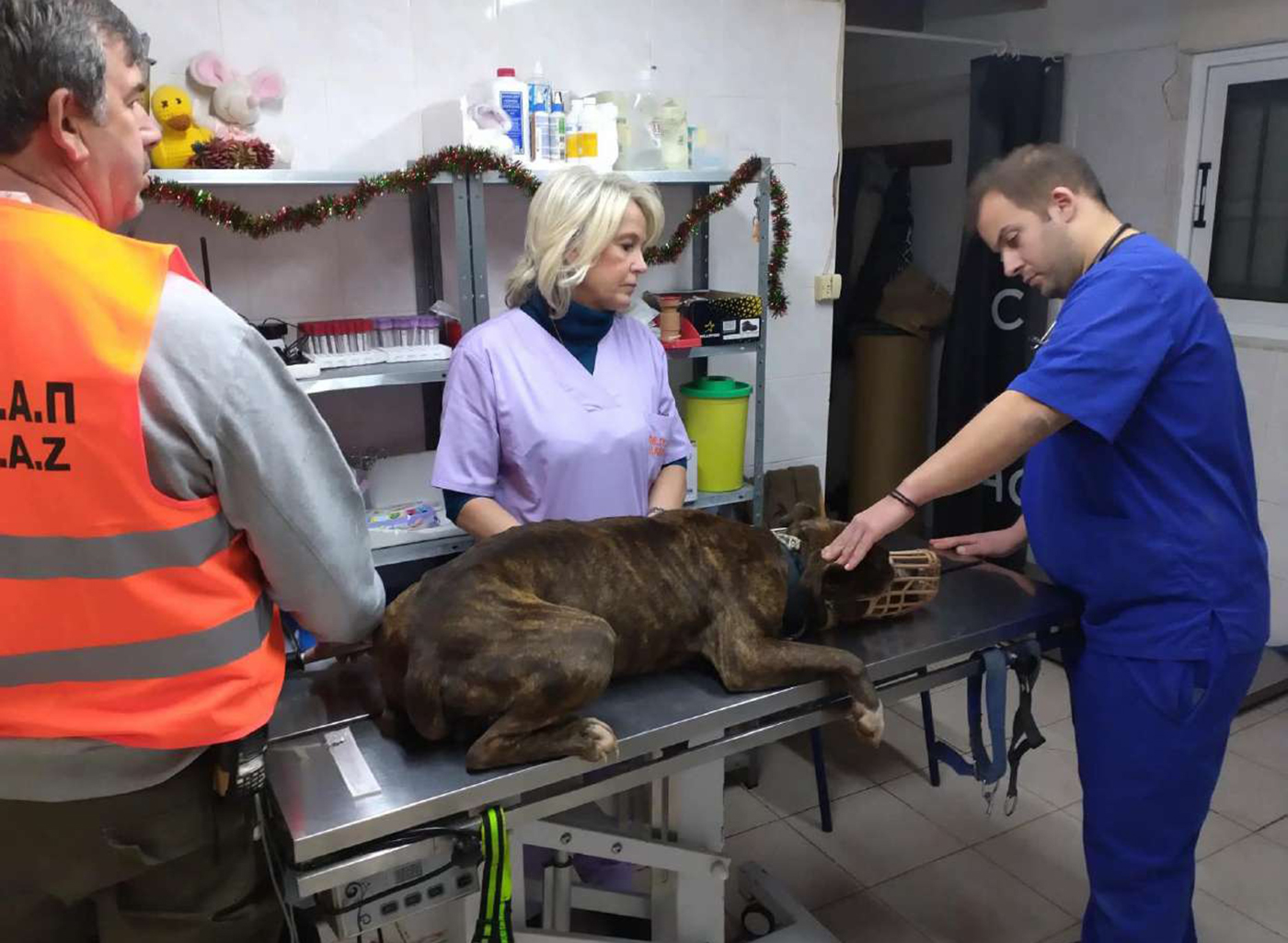 Στο ΔΙΚΕΠΑΖ μεταφέρθηκε ο σκύλος που τραυμάτισε θανάσιμο το 2χρονο αγοράκι στη Ζάκυνθο