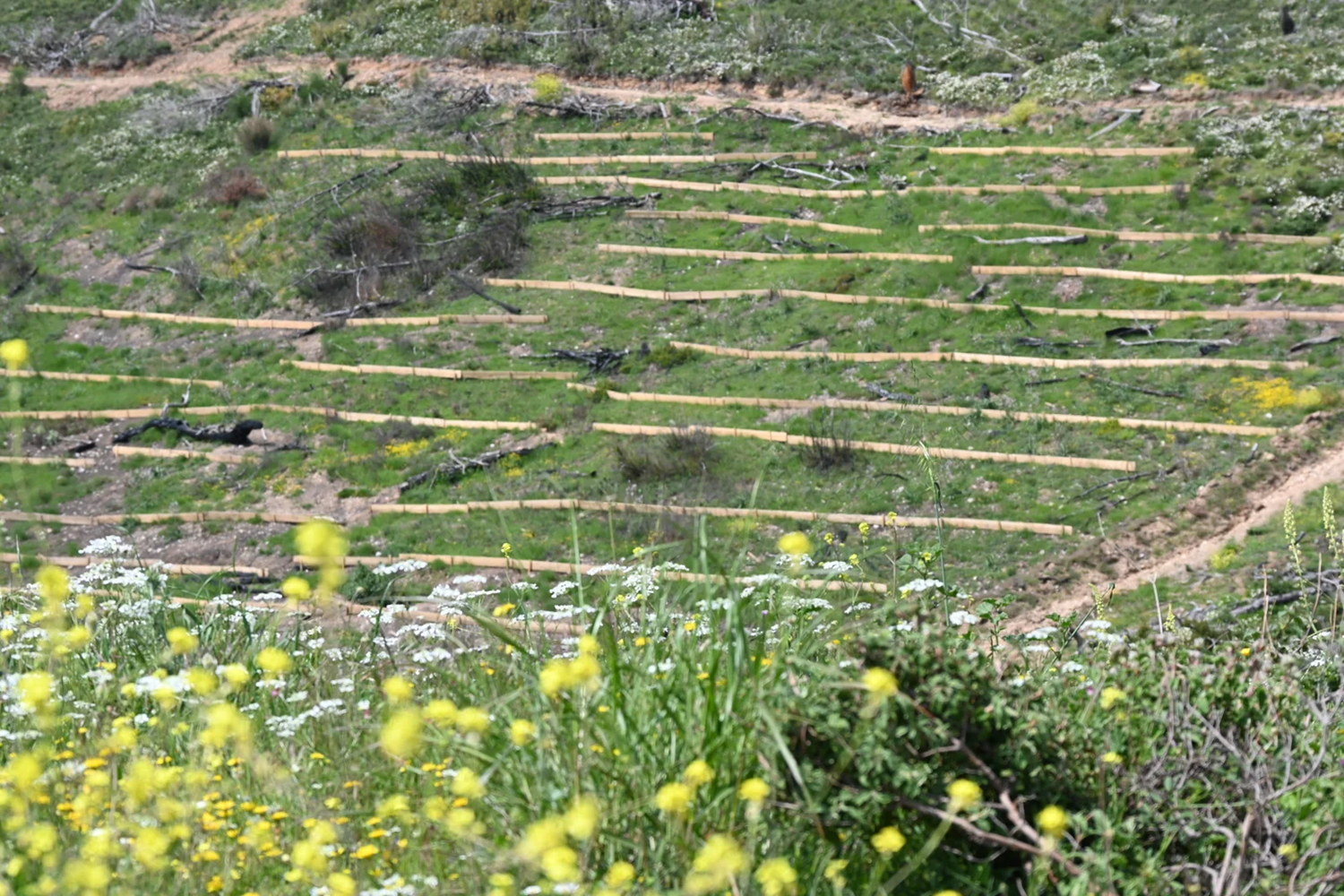 Παράδοση ολοκληρωμένων αντιδιαβρωτικών έργων σε Αχαρνές, Ωρωπό και Διόνυσο με επίκεντρο και τμήμα του δασοκτήματος Τατοΐου