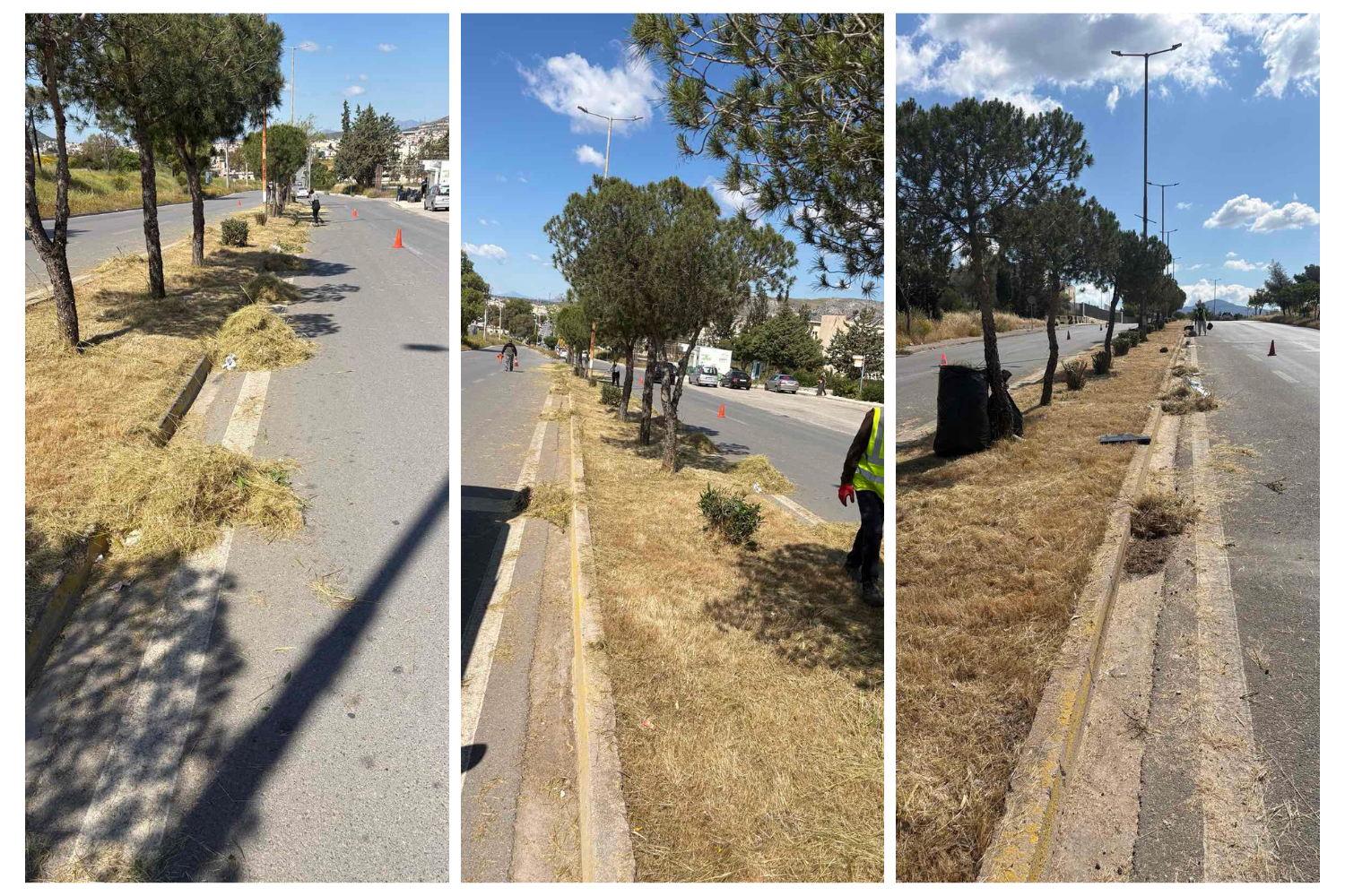 Αχαρνές: Καθημερινές εργασίες καθαρισμού και αποψίλωσης από τα συνεργεία της Διεύθυνσης Πρασίνου