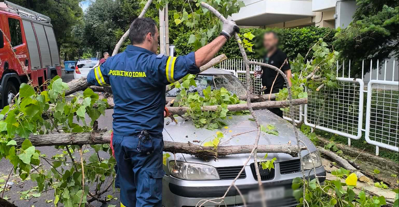 Αχαρνές: Σαρωτικό το πέρασμα του μπουρινιού – Έπεσαν δέντρα σε Κωνσταντινουπόλεως και Ολυμπιακό Χωριό