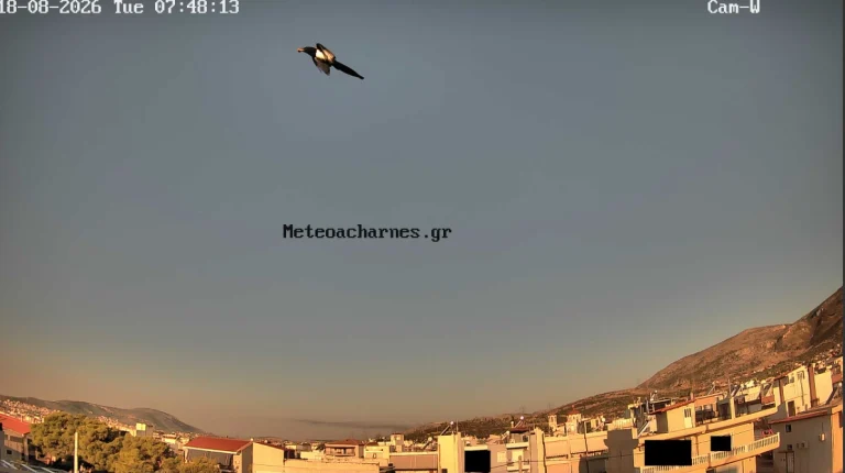 Meteoacharnes: Ενδείξεις για τριήμερη εισβολή πολύ θερμών αερίων μαζών. Που φαίνεται να ανεβαίνουν οι θερμοκρασίες. Η πρόγνωση για Αχαρνές, Ίλιον & Φυλή