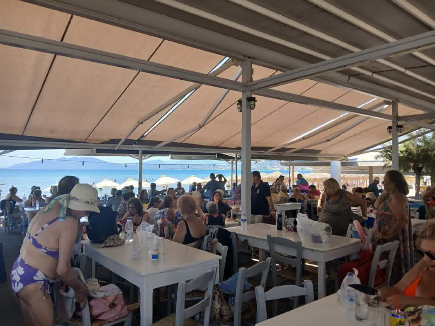 Με χορό και τραγούδι ολοκληρώθηκαν τα δωρεάν θαλάσσια μπάνια για τα ΚΑΠΗ Δήμου Φυλής